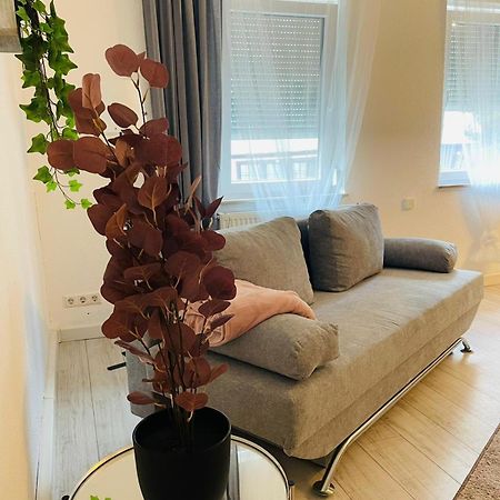 Wohnung Im Zentrum Von アルプシュタット エクステリア 写真